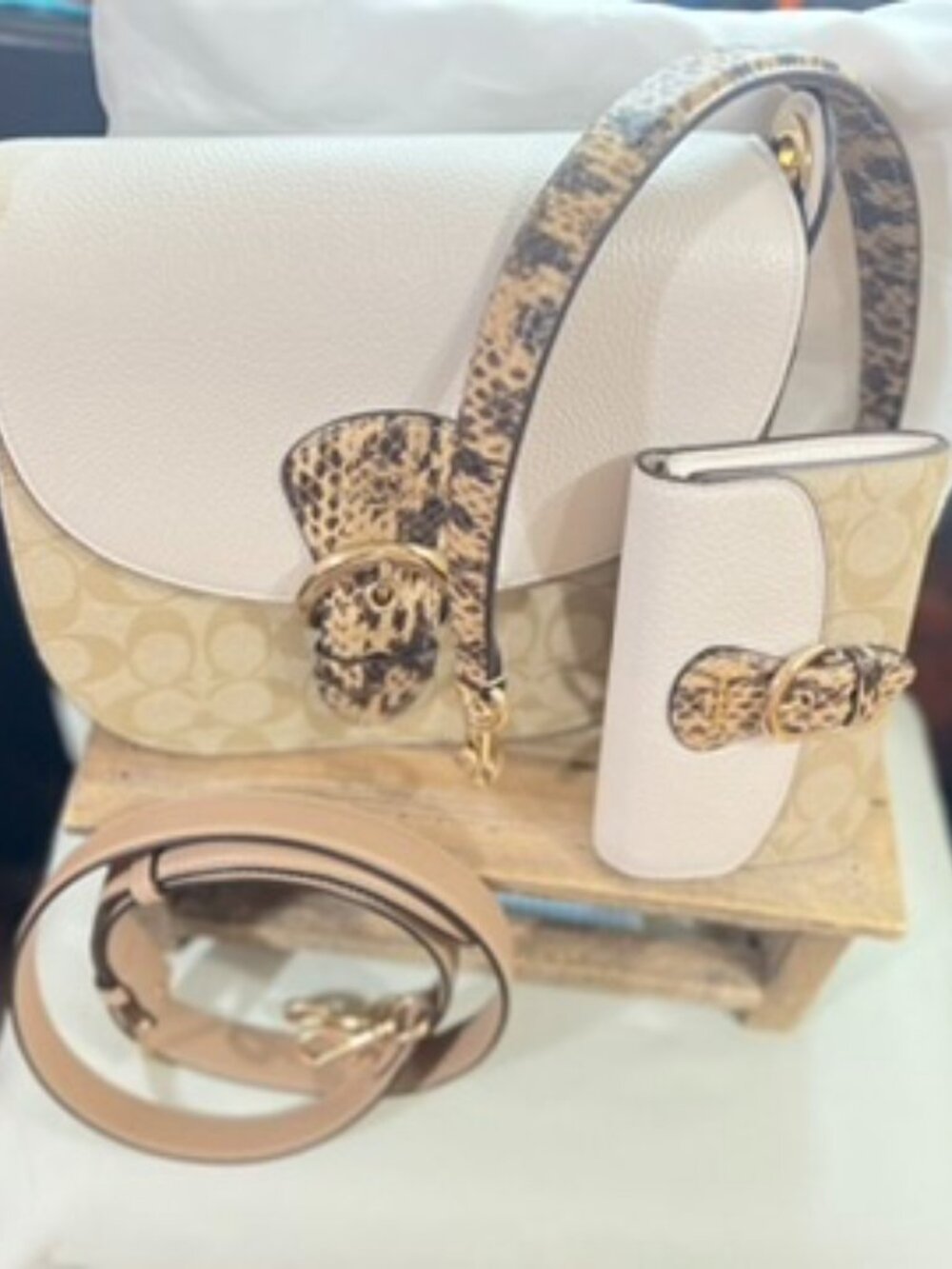 Coach Kleo Shoulder Bag & Matching Wallet Set Signature Canvas Snakeskin RARE